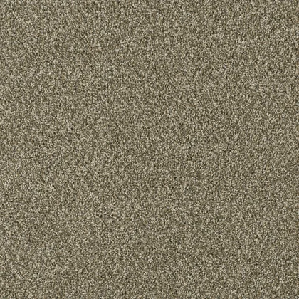 Sienna Sand · Acclaim carpet product sample