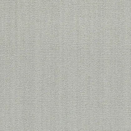 Rain Shadow · Aberdeen II carpet product sample