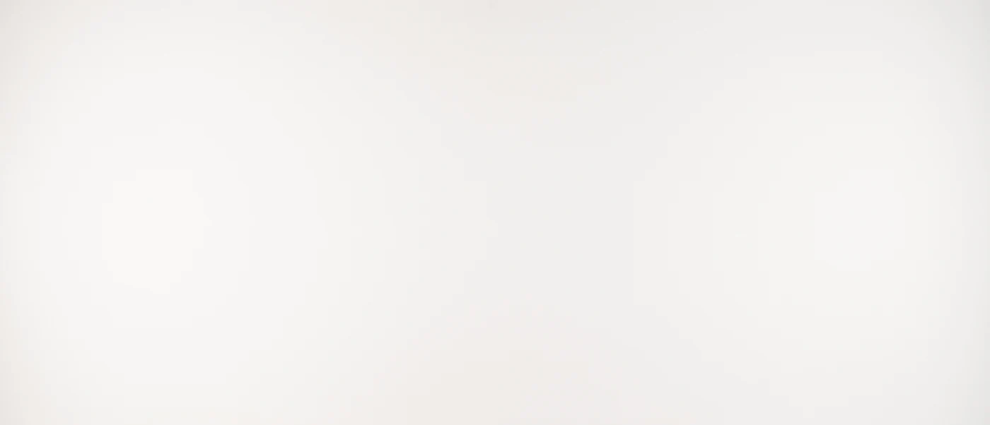 Arctic White polished slab photograph; color and pattern reference