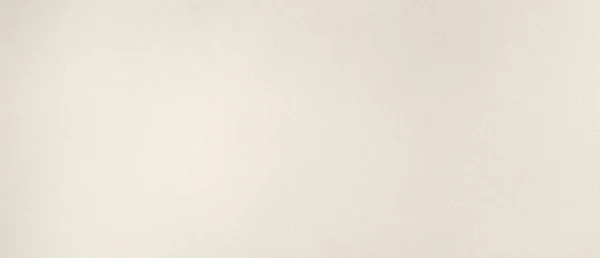 Aruca White polished slab photograph; color and pattern reference