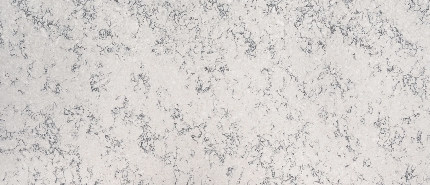 Blanca Arabescato polished slab photograph; color and pattern reference