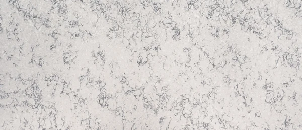 Blanca Arabescato polished slab photograph; color and pattern reference
