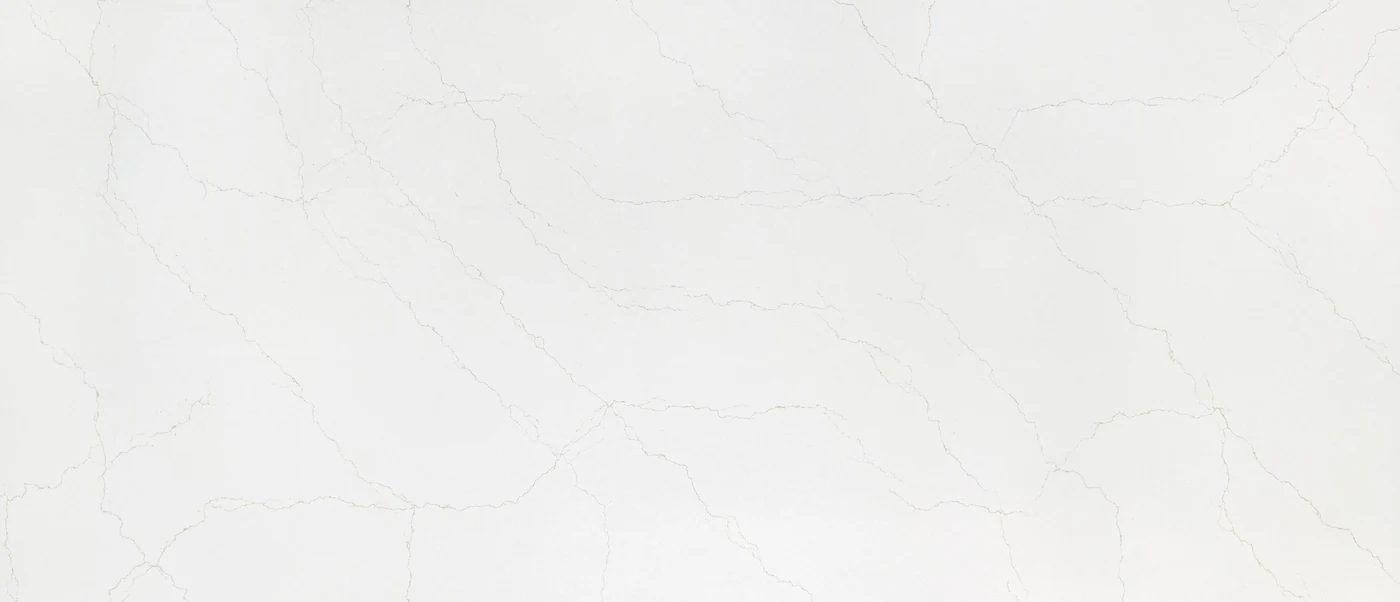 Calacatta Adonia polished slab photograph; color and pattern reference