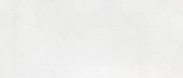 Calacatta Adonia polished slab photograph; color and pattern reference