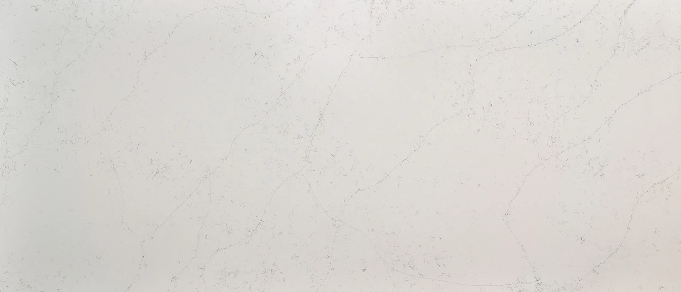 Calacatta Botanica polished slab photograph; color and pattern reference