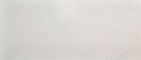 Calacatta Botanica polished slab photograph; color and pattern reference