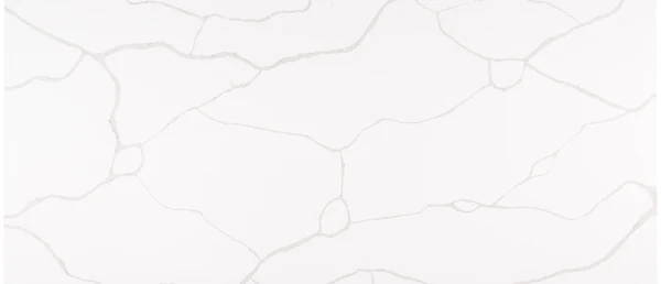 Calacatta Classique polished slab photograph; color and pattern reference