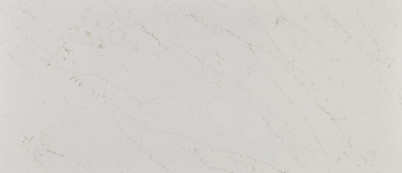 Calacatta Delios polished slab photograph; color and pattern reference