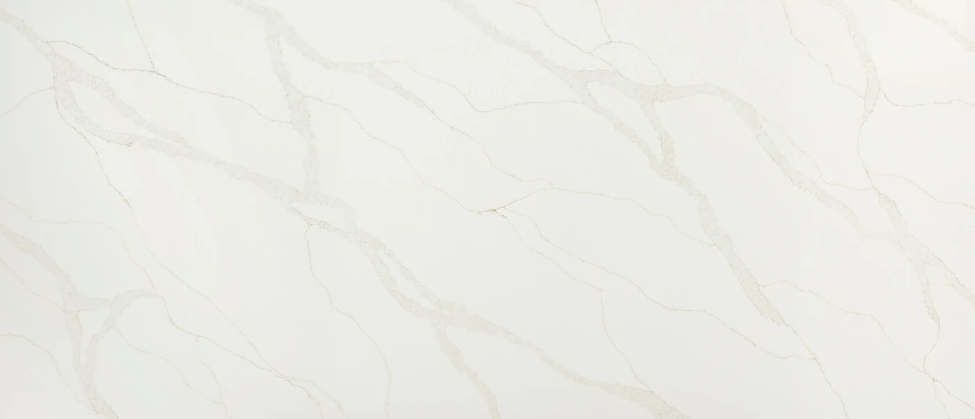 Calacatta Elysio polished slab photograph; color and pattern reference