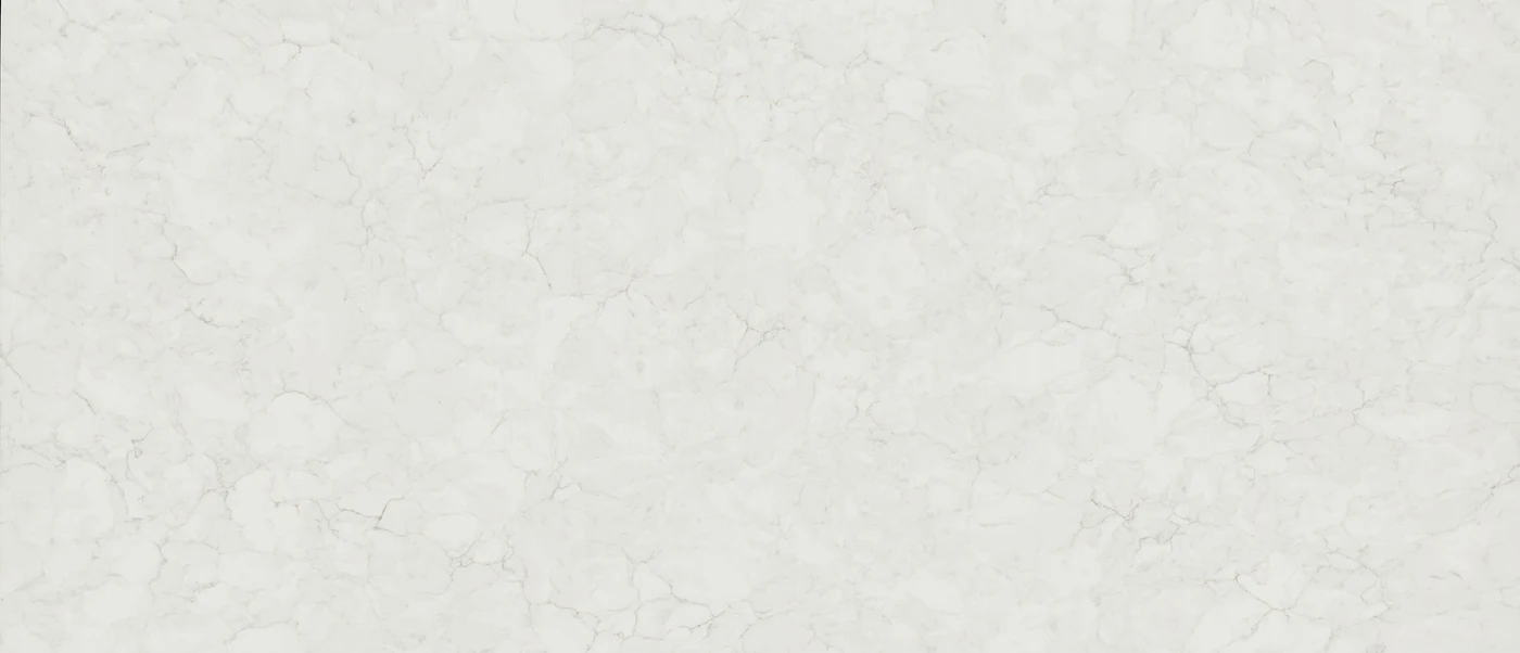 Calacatta Fioressa polished slab photograph; color and pattern reference
