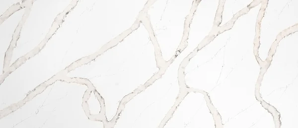 Calacatta Goa polished slab photograph; color and pattern reference