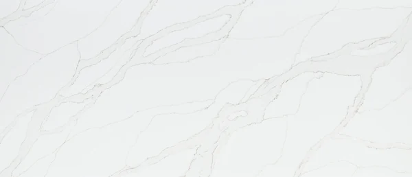 Calacatta Izaro polished slab photograph; color and pattern reference