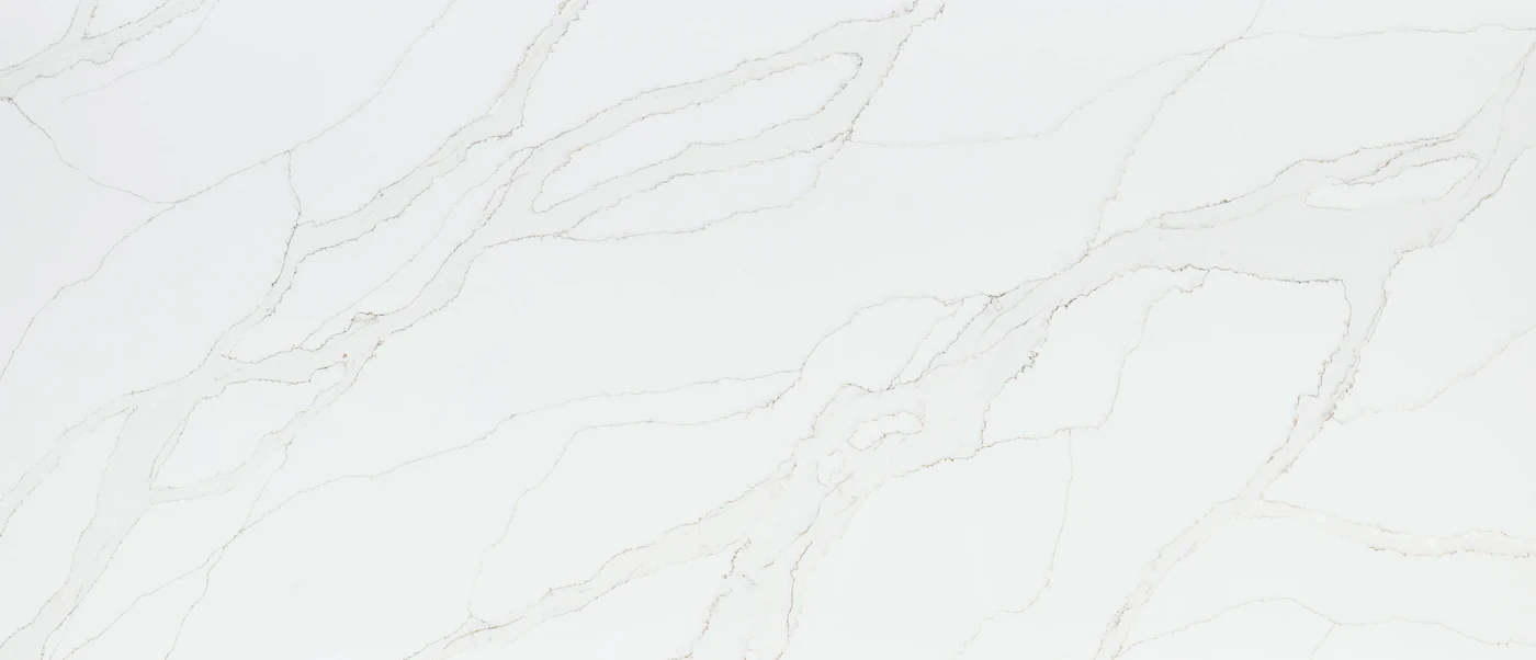 Calacatta Izaro polished slab photograph; color and pattern reference