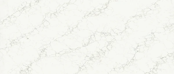 Calacatta Jadira polished slab photograph; color and pattern reference
