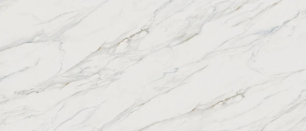 Calacatta Lapiza polished slab photograph; color and pattern reference