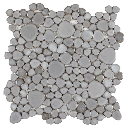 Growing Grey 11.5 x 11.5 product photograph