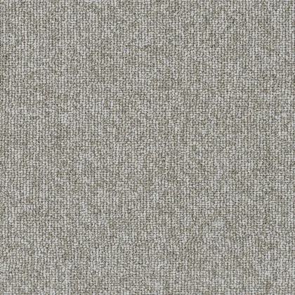 Toast · Astro carpet product swatch