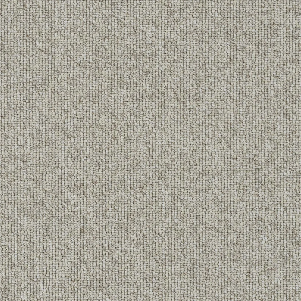 Chestnut · Astro carpet product swatch