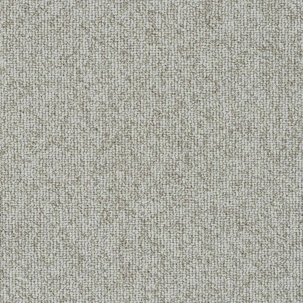 Goose Down · Astro carpet product swatch