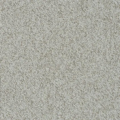 Goose Down · Astro carpet product swatch