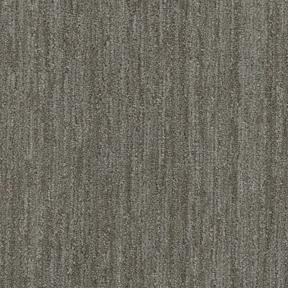 Mesquite · Baja carpet product swatch