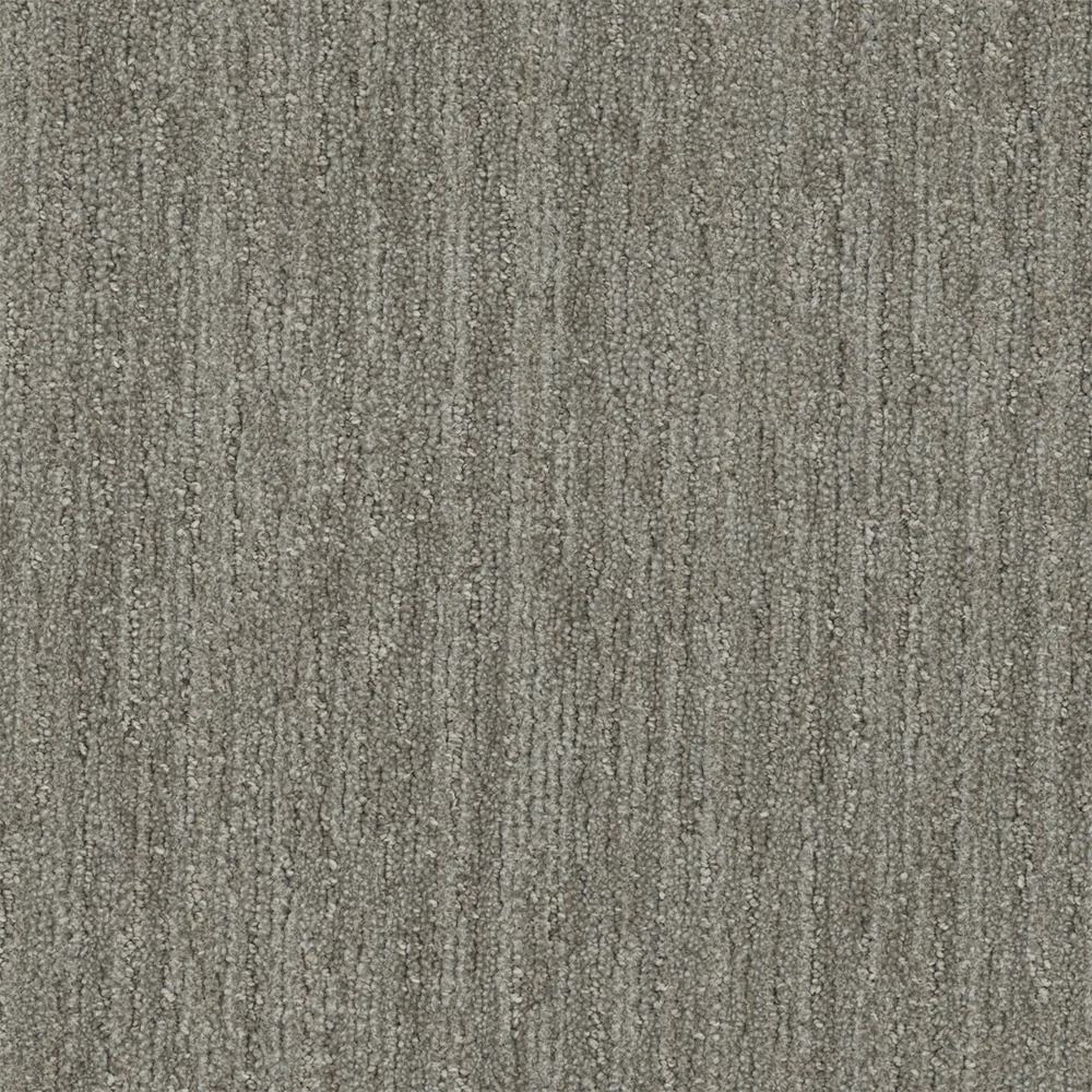 Barrel Cactus · Baja carpet product swatch