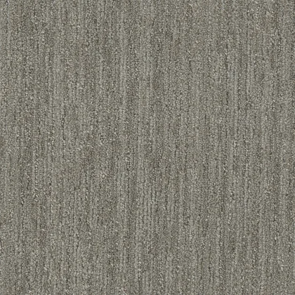 Barrel Cactus · Baja carpet product swatch