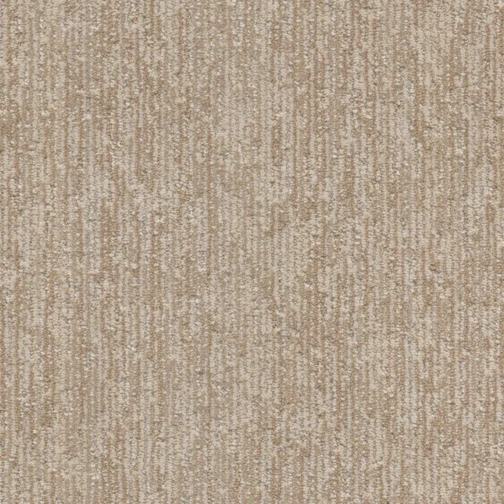 Prairie Grove · Baja II carpet product swatch