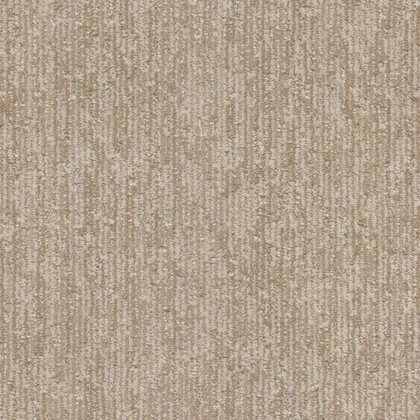 Prairie Grove · Baja II carpet product swatch
