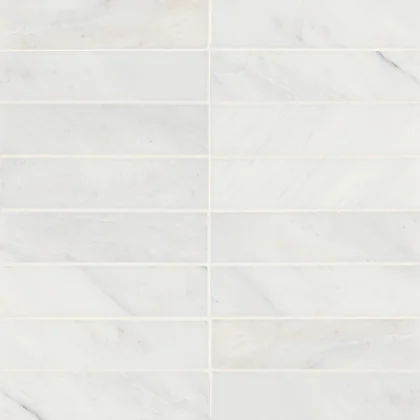 Oriental White · Monet 2" x 8" rectangle tile color and pattern reference