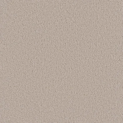 Champagne Fizz · Beach Club I collection color reference