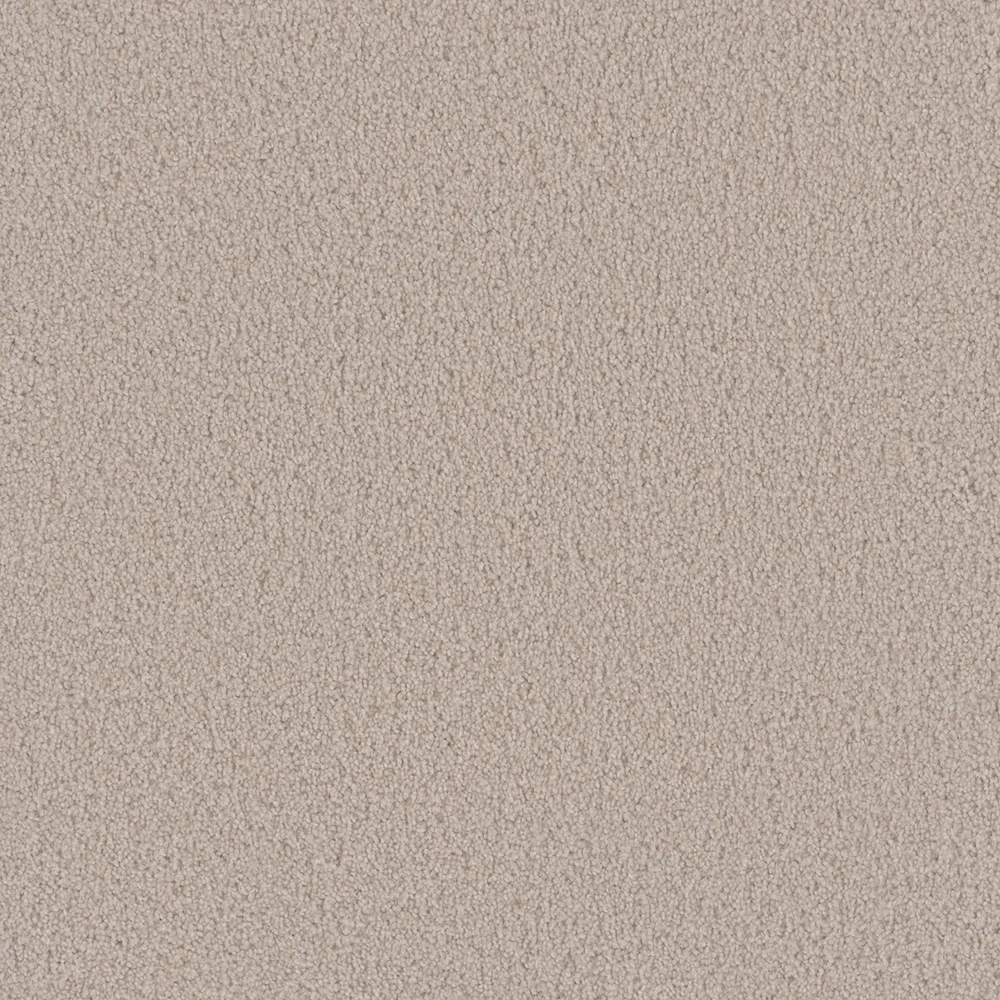 Champagne Fizz · Beach Club II collection color reference