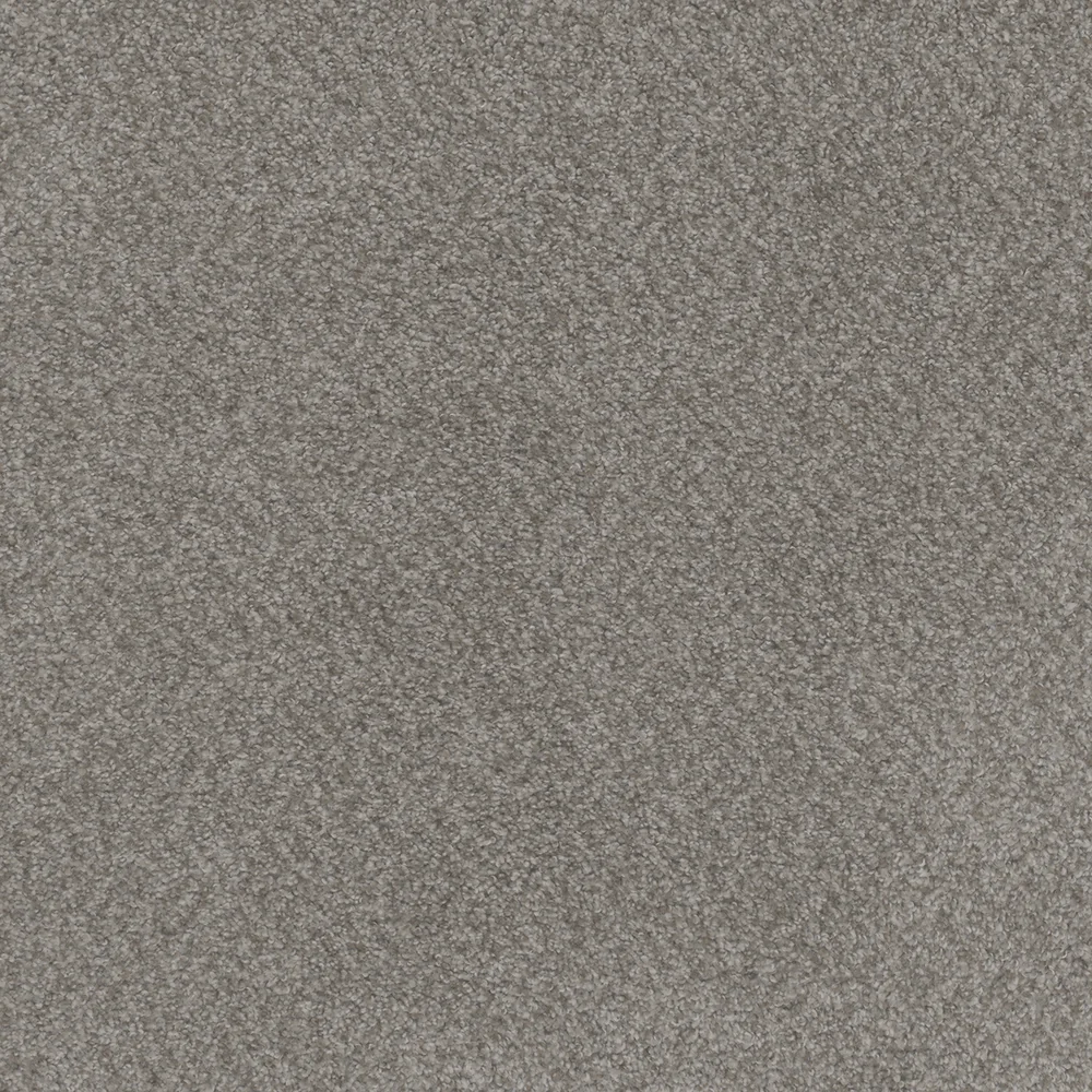 Spanish Moss · Beach Club III collection color reference