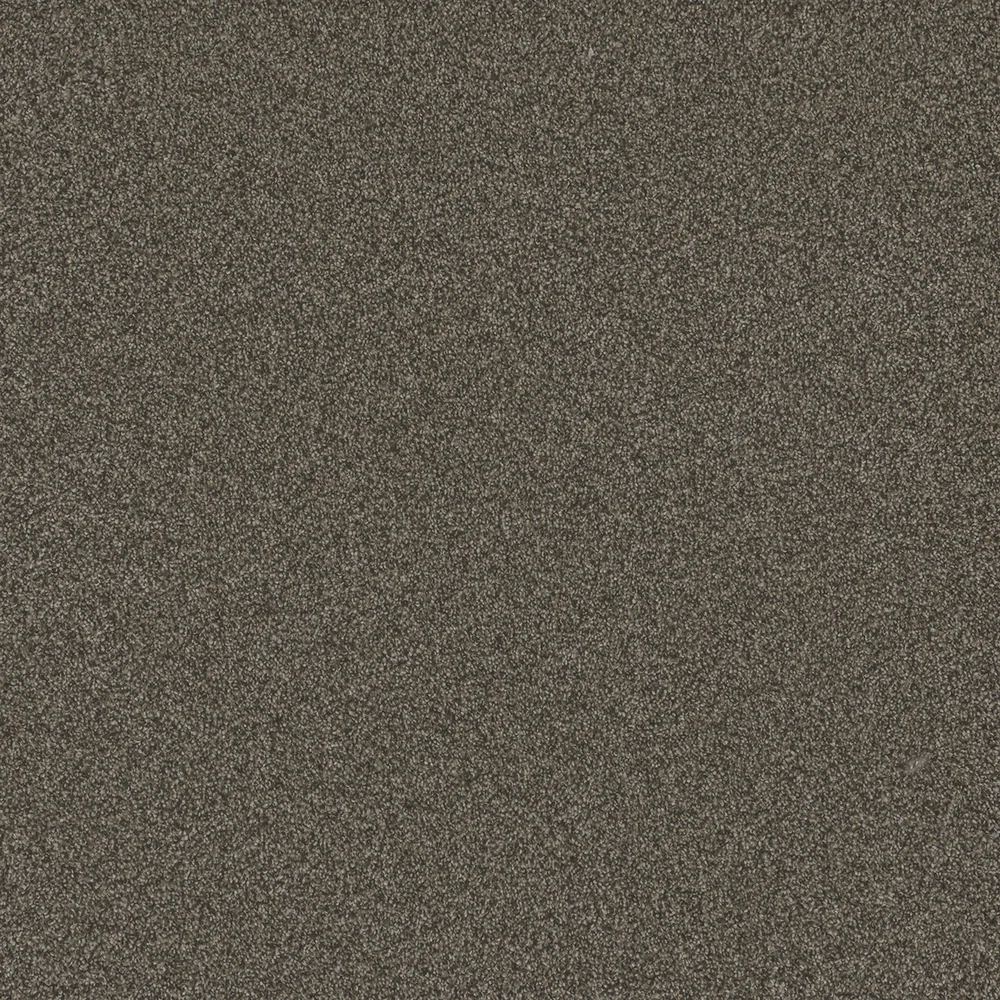 French Roast · Blazer I collection color reference