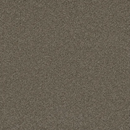 Fawn · Blazer I collection color reference