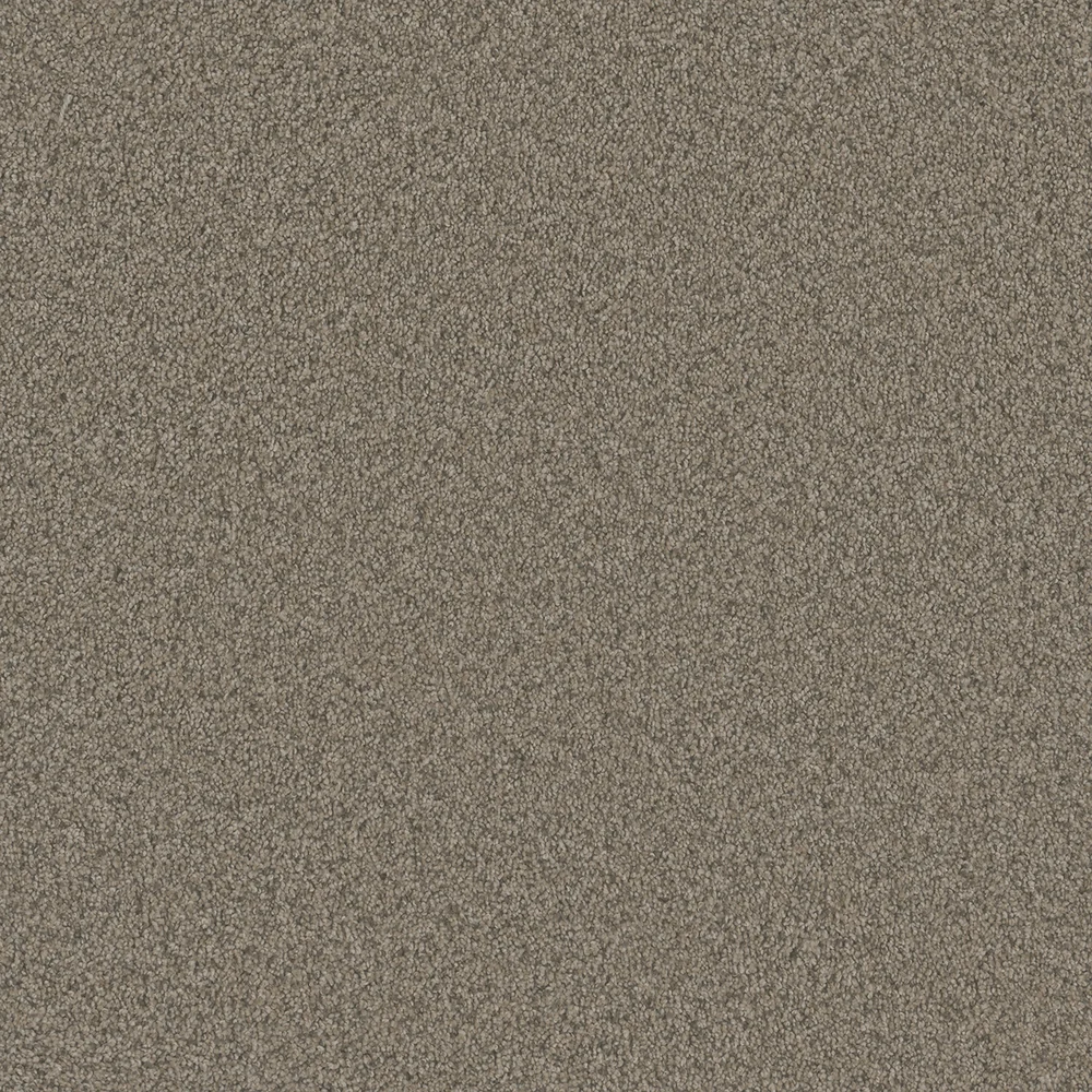 Umber · Blazer II collection color reference