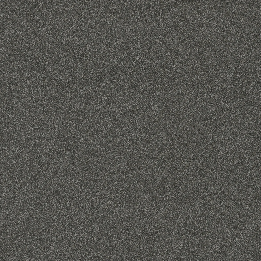 Nitro · Blazer II collection color reference