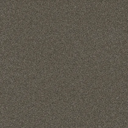 French Roast · Blazer III collection color reference