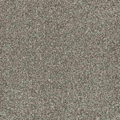 Clove · Brazen II collection color reference