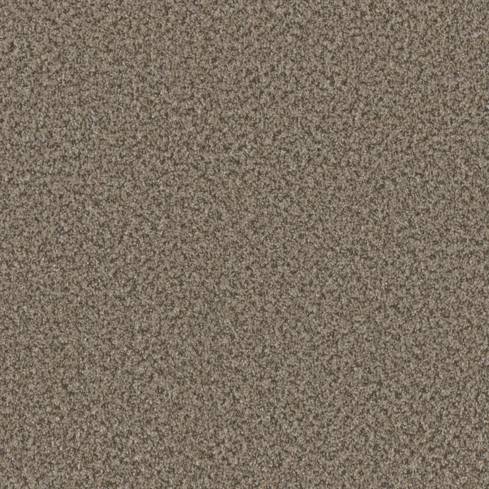 Beach Walk · Brazen II collection color reference