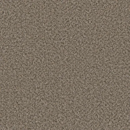 Beach Walk · Brazen II collection color reference