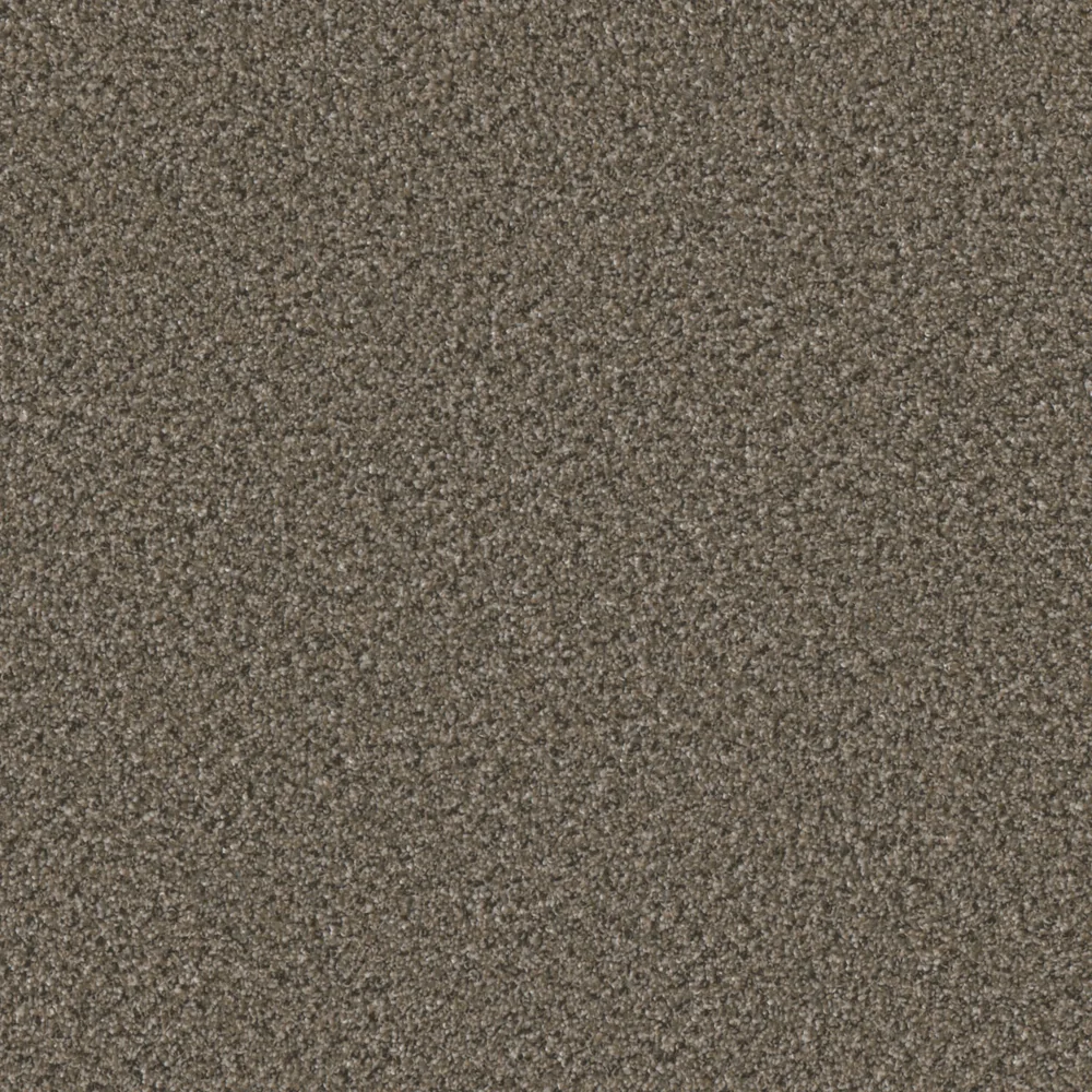 Warm & Toasty · Brazen II collection color reference
