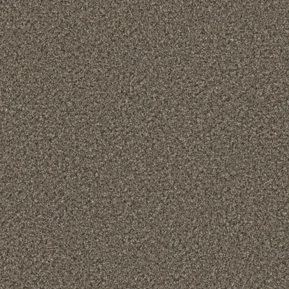 Warm & Toasty · Brazen II collection color reference
