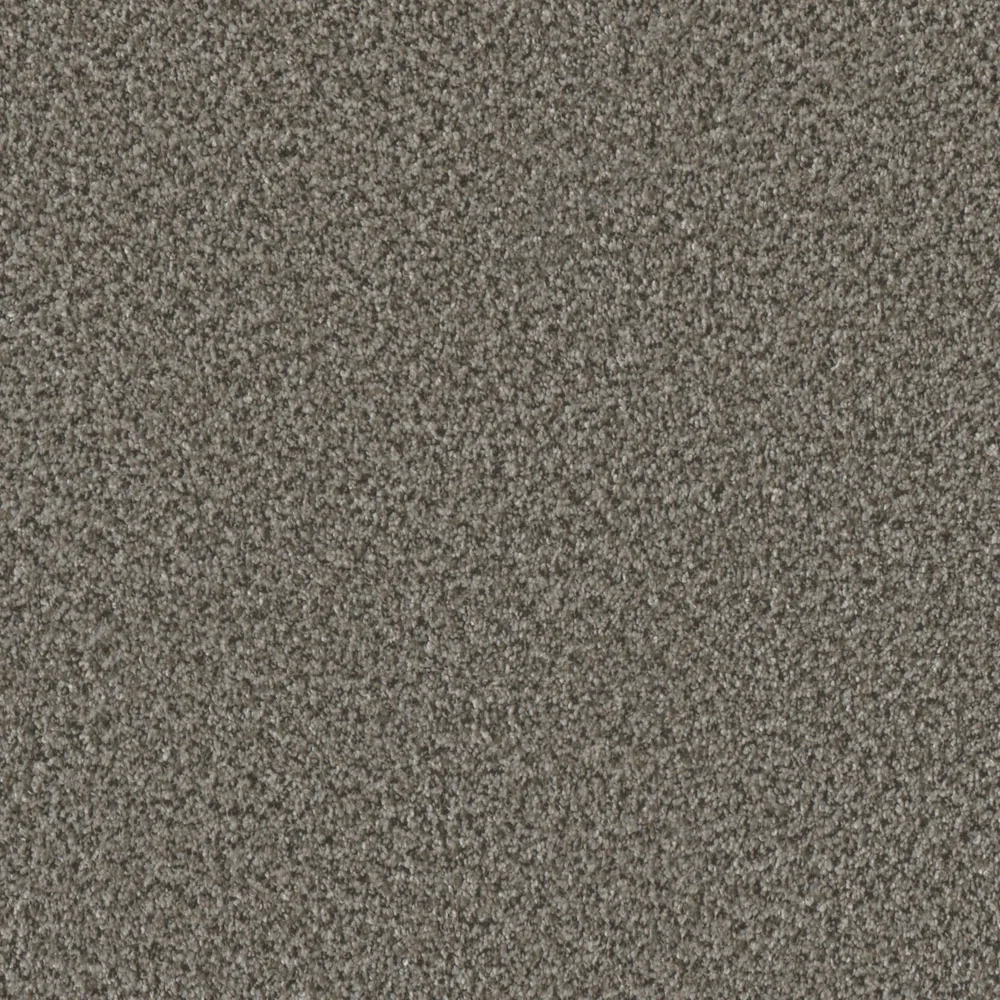 Windswept · Brazen II collection color reference