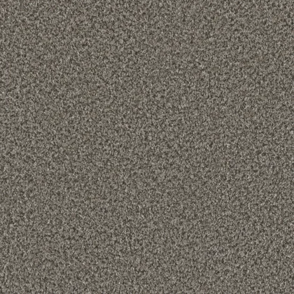 Windswept · Brazen II collection color reference
