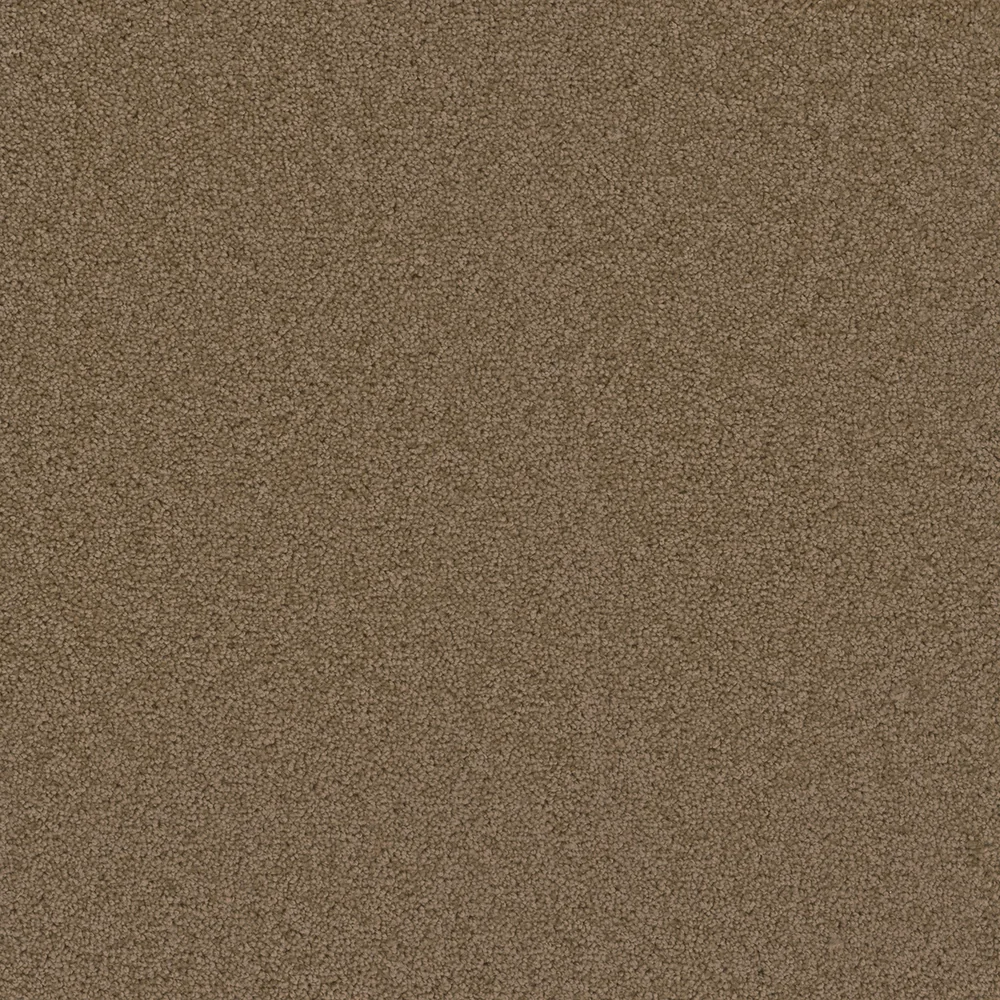 Honey Beige · Broadcast collection color reference