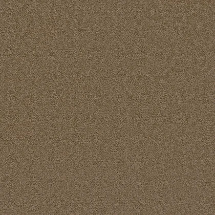Honey Beige · Broadcast collection color reference