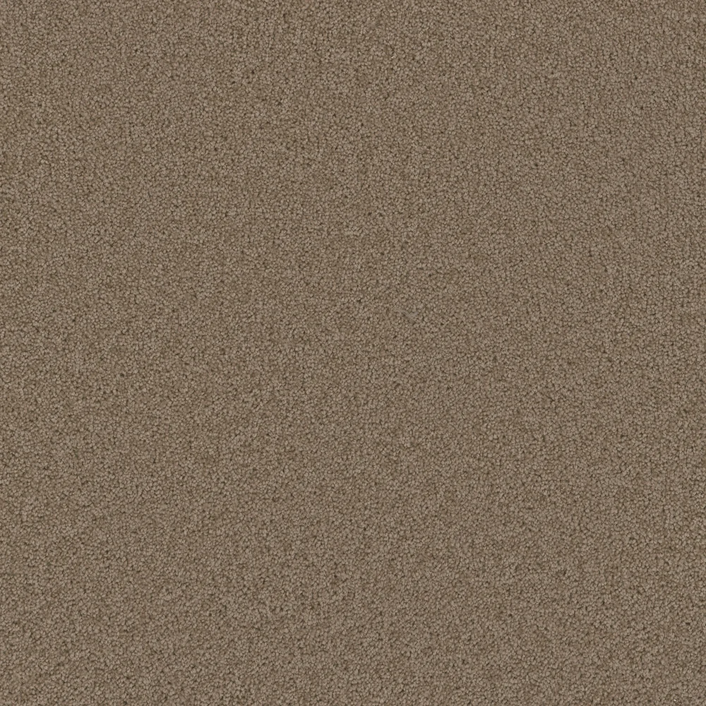 Doeskin · Broadcast collection color reference