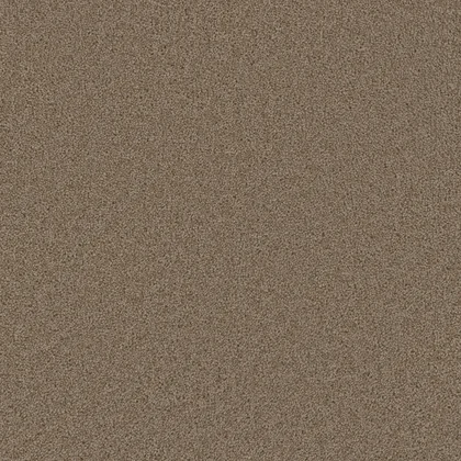 Doeskin · Broadcast collection color reference