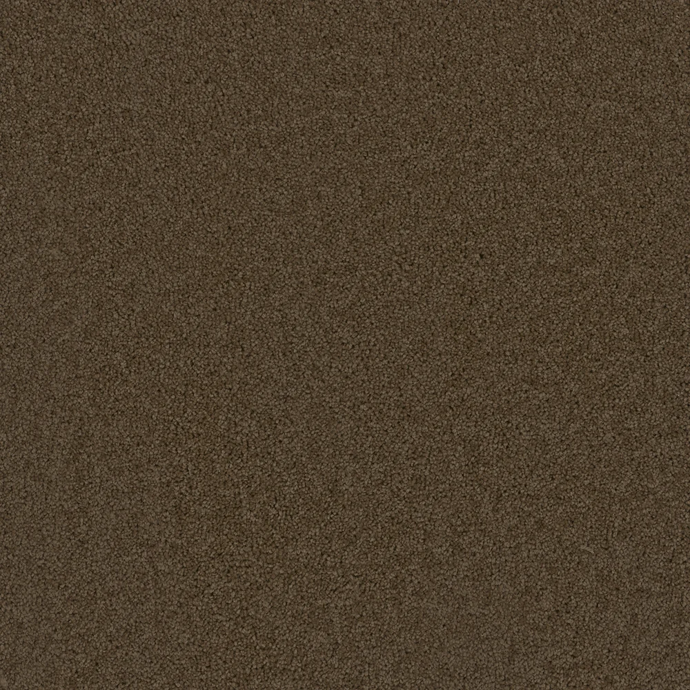 Latte · Broadcast collection color reference